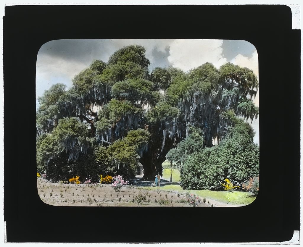 Middleton Place