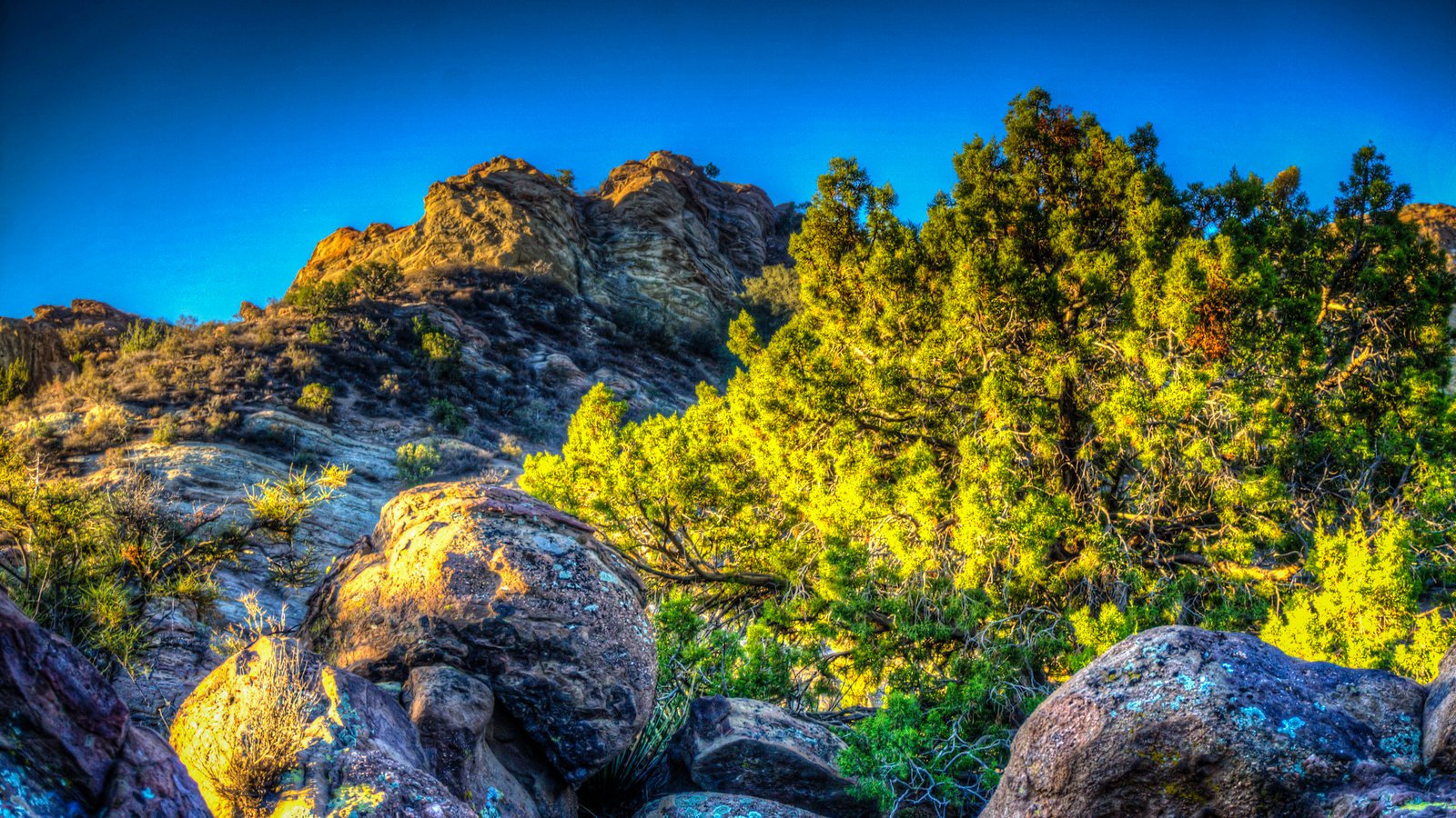 Vasquez Rocks