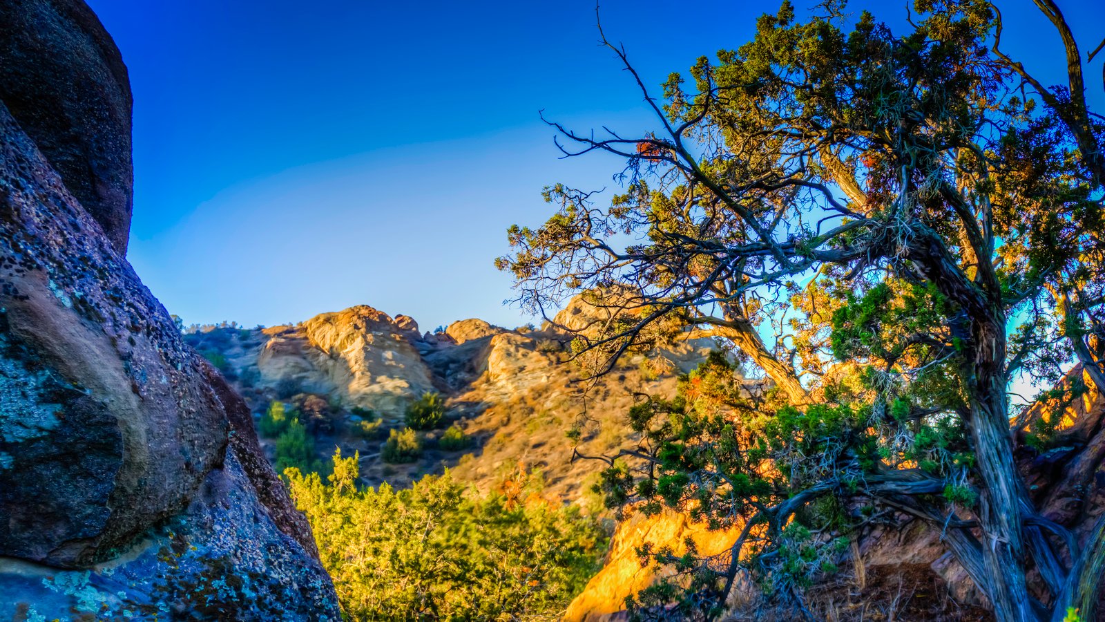 Vasquez Rocks