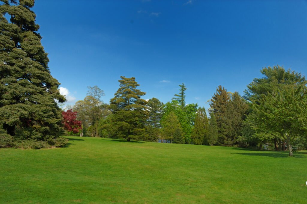 Bayard Cutting Arboretum — The Gilded Age filming location in Islip