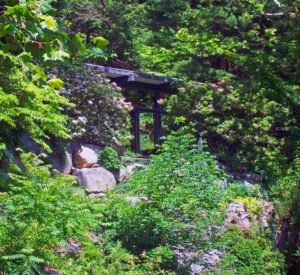 Manitoga (Dragon Rock) β Art House filming location in Garrison