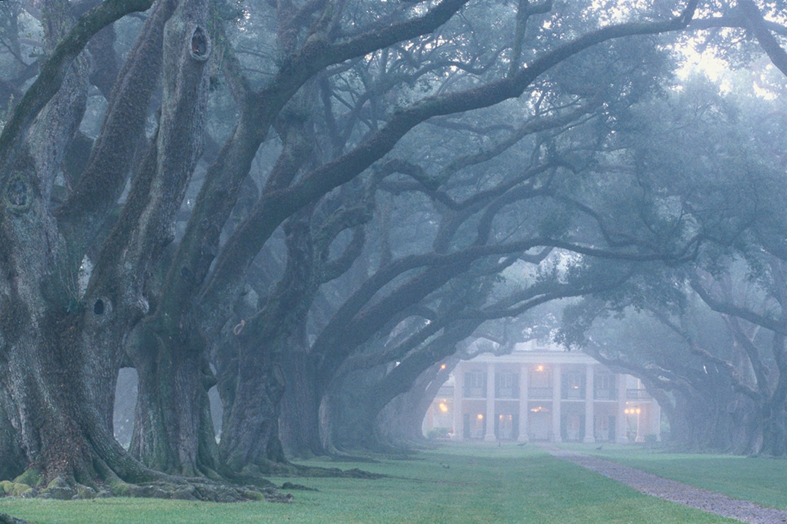 Oak Alley Plantation