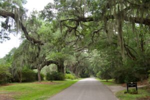 Magnolia Plantation and Gardens (Charleston, South Carolina) — Swamp Thing filming location in Charleston