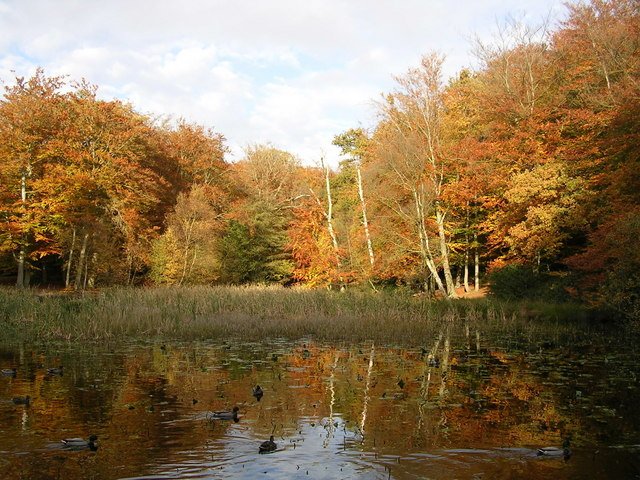 Burnham Beeches in Sherbrooke