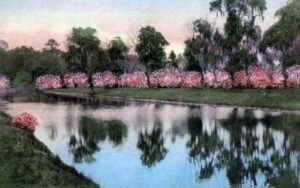 Middleton Place — The Patriot filming location in Charleston
