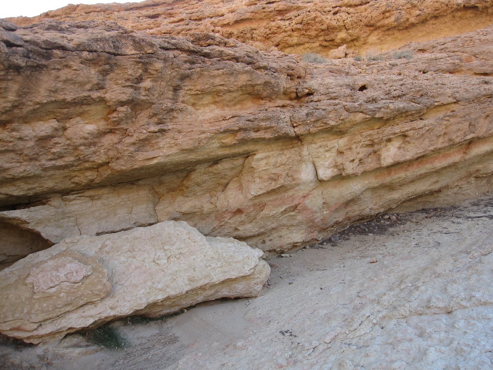 Sidi Bouhlel (canyon)
