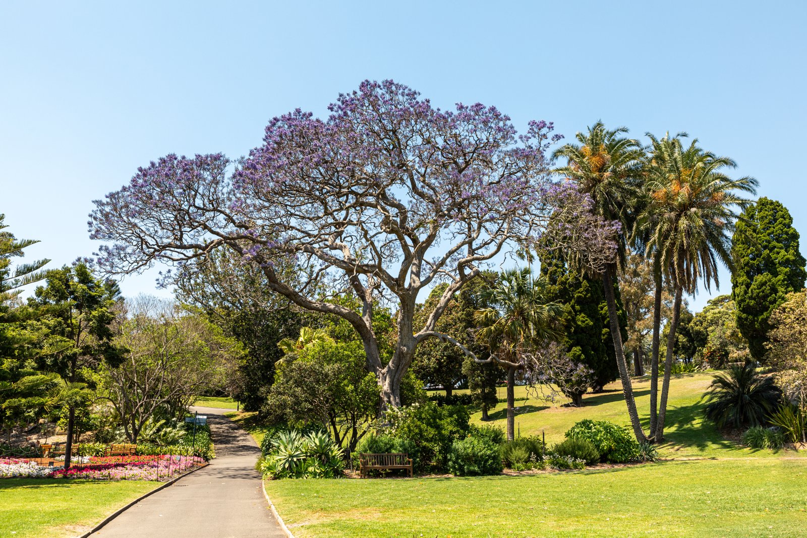 Royal Botanic Garden, Sydney