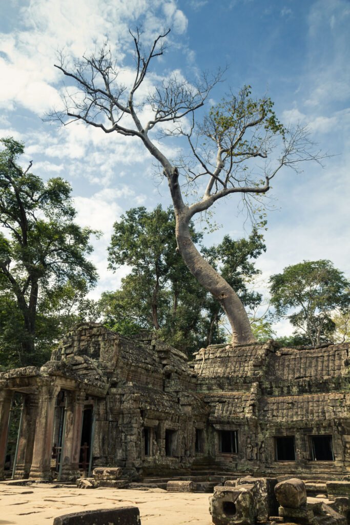 Ta Prohm — Lara Croft: Tomb Raider filming location in Siem Reap (Angkor)